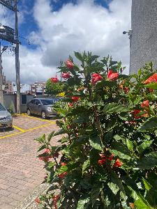 Apartamento en venta en Chia, Chía · foto 2 de 12