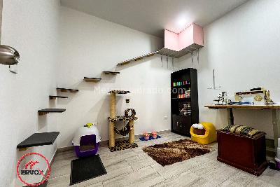 Casa de 4 alcobas en venta en Calambeo, Ibagué, 296 m² · foto 17 de 20
