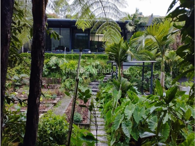 Charming 3BR Country House in Santa Elena - 6