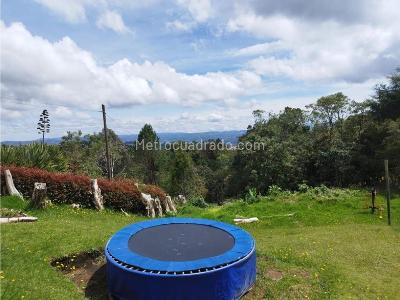 Casa de 5 alcobas en arriendo en Alto Palmas, Envigado, 380 m² · foto 16 de 17