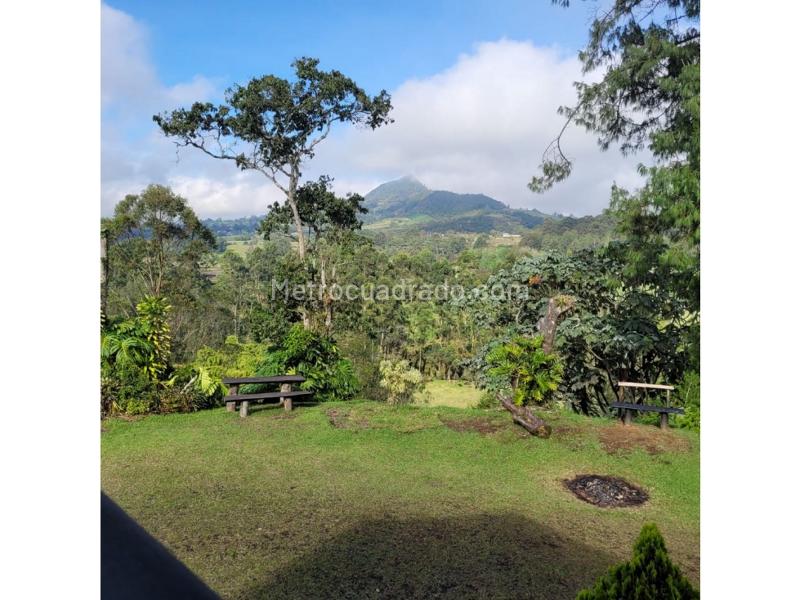4BR House in San Antonia De Pereira (10300 m²) - 3