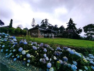House for rent in Alto Palmas, Envigado