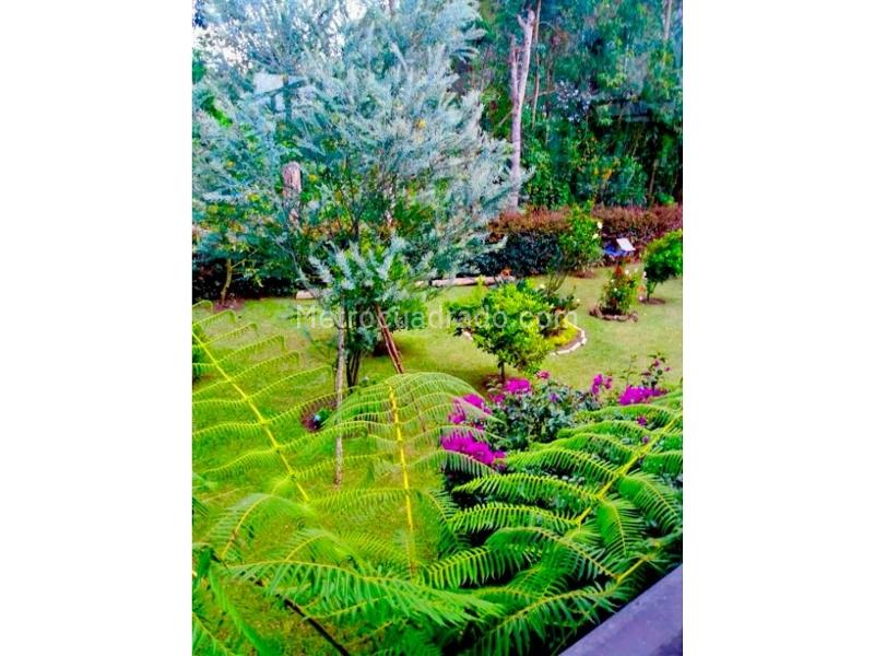 Casa en Arriendo, Llanogrande, Rionegro - 3