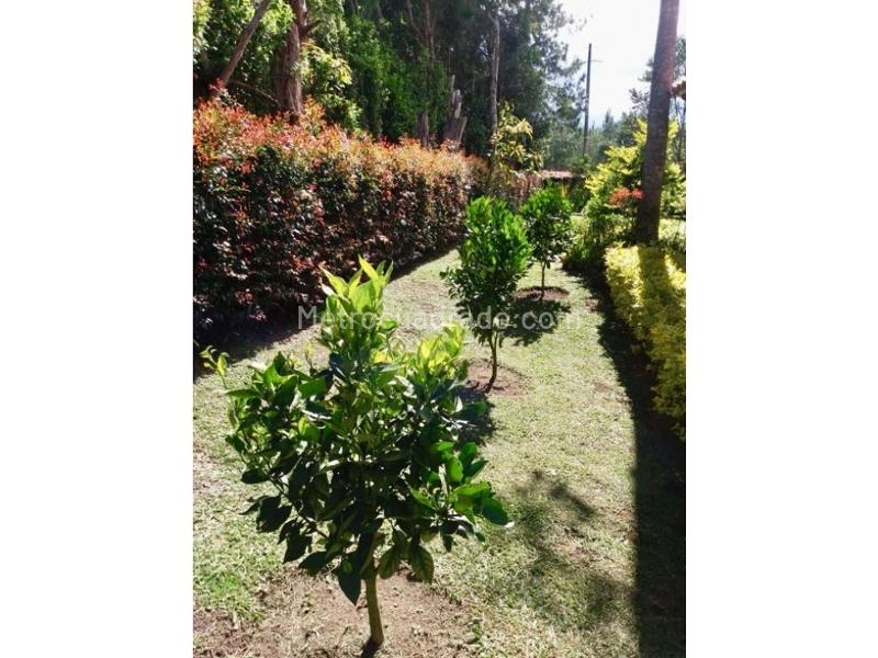 Casa en Arriendo, Llanogrande, Rionegro - 5