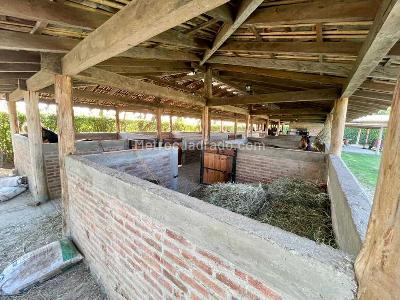 Casa de 4 alcobas en venta en Rozo, Palmira, 392 m² · foto 17 de 20
