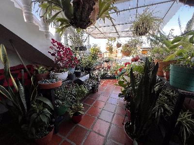 Casa de 3 alcobas en venta en Brisas De Los Alamos, Cali, 150 m² · foto 5 de 11