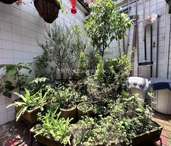 Casa de 3 alcobas en venta en Camino Real, Cali, 238 m² · foto 14 de 20