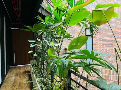 Apartamento de 3 alcobas en arriendo en Poblado San Lucas, Medellín, 330 m² · foto 10 de 20