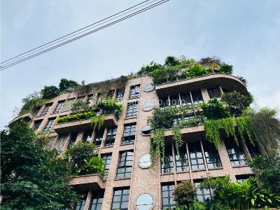 Apartamento de 3 alcobas en arriendo en Poblado San Lucas, Medellín, 330 m² · foto 13 de 20