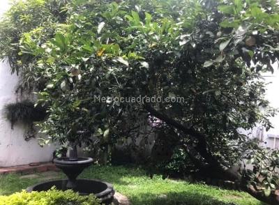 Casa en venta en Villa Grande, Envigado · foto 11 de 16
