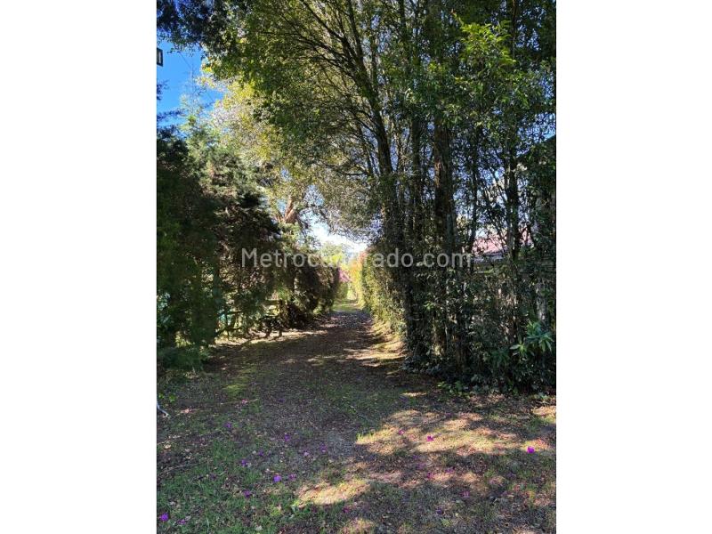 Casa en Arriendo, Llanogrande, Rionegro - 5