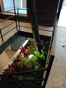 Casa de 5 alcobas en venta en Los Balsos 1, Medellín, 280 m² · foto 3 de 20