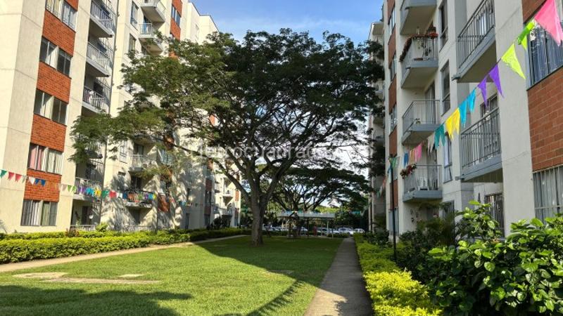 Piso – Jamundí, Campos de Pangola - Vista 2