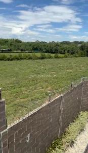 Casa de 5 alcobas en venta en Pance, Cali, 800 m² · foto 6 de 20