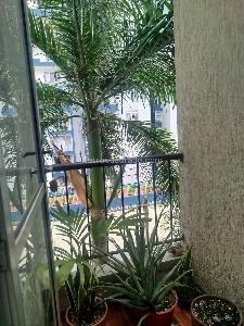 Apartamento de 3 alcobas en venta en Valle Del Lili, Cali, 57 m² · foto 6 de 12