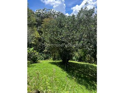 Casa de 5 alcobas en venta en Rionegro, Rionegro · foto 7 de 20