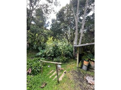 Casa de 5 alcobas en venta en Rionegro, Rionegro · foto 12 de 20