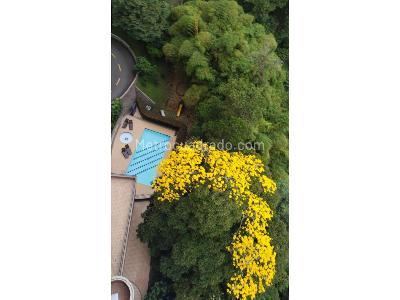 Apartamento en arriendo en Provenza, Medellín · foto 15 de 16