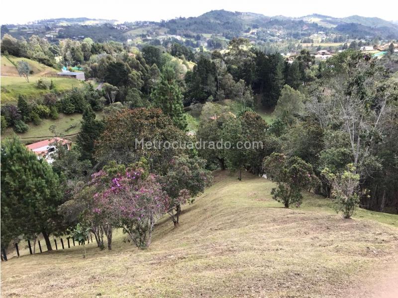 Lote en Venta, Alto De Las Palmas, Envigado - Más