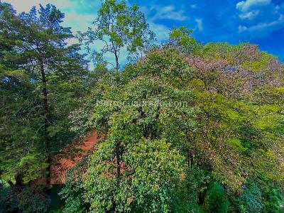 Apartamento en venta en Vizcaya, Medellín · foto 12 de 12