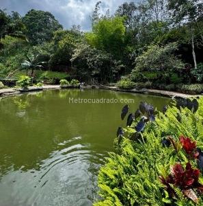Apartamento de 3 alcobas en venta en Laureles, Medellín, 100 m² · foto 20 de 20