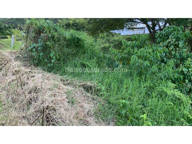 Lote en Venta, La Trinidad, Manizales - Vista 3