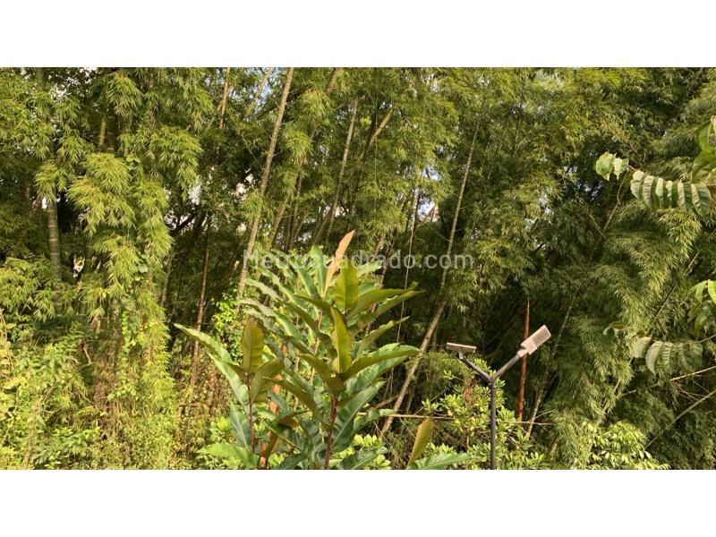 Lote en Venta, La Trinidad, Manizales - Vista 4
