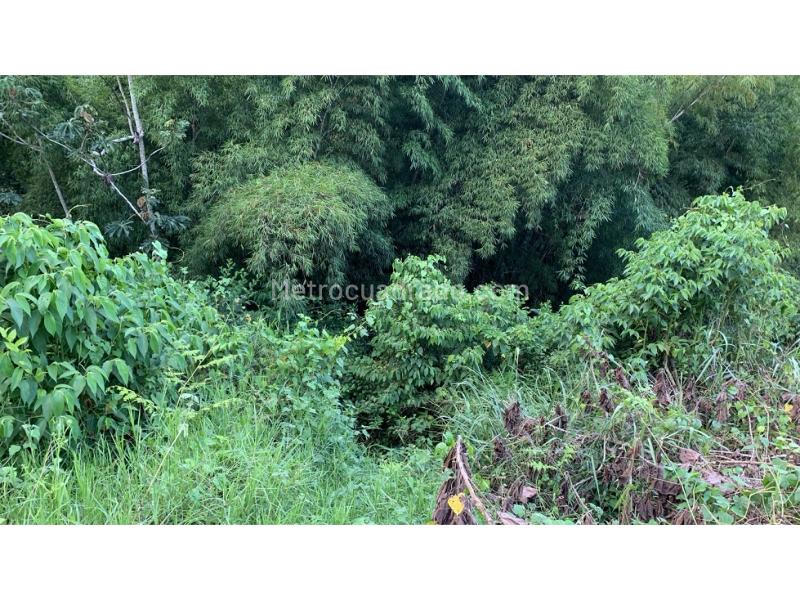 Lote en Venta, La Trinidad, Manizales - Más