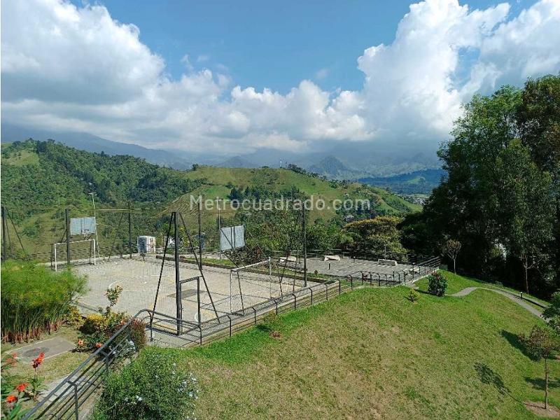 Piso – Manizales, Palogrande - Vista 3