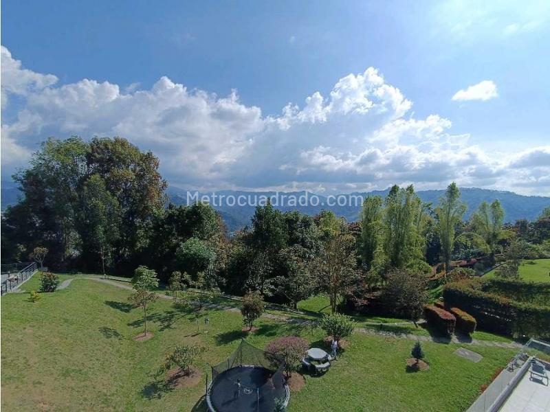 Piso – Manizales, Palogrande - Vista 3