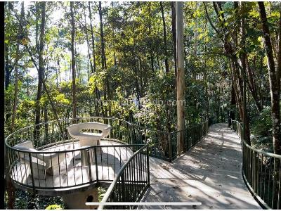 Apartamento de 3 alcobas en venta en El Poblado, Medellín, 217 m² · foto 16 de 20