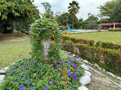 Casa de 4 alcobas en venta en Villavicencio · foto 5 de 20