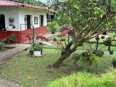 Casa de 4 alcobas en venta en Villavicencio · foto 6 de 20