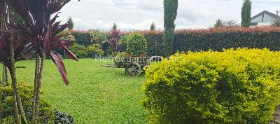Casa de 4 alcobas en venta en Las Palmas, Envigado, 437 m² · foto 6 de 20