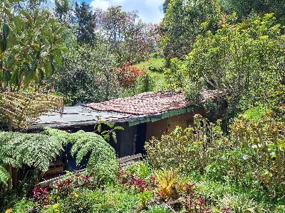 Casa en venta en Envigado Rural, Envigado · foto 20 de 20