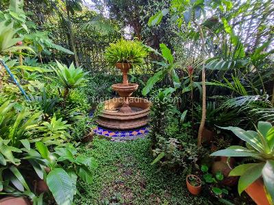 Casa de 4 alcobas en venta en Los Balsos Dos, Medellín, 250 m² · foto 11 de 19