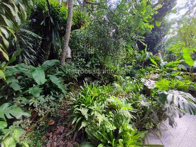Casa de 4 alcobas en venta en Los Balsos Dos, Medellín, 250 m² · foto 12 de 19