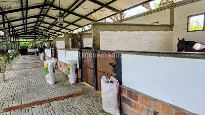Casa de 5 alcobas en venta en Rozo, Palmira, 2000 m² · foto 8 de 20