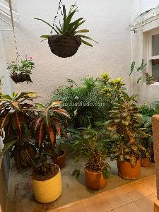 Casa de 4 alcobas en venta en Bolivariana, Medellín, 328 m² · foto 11 de 17