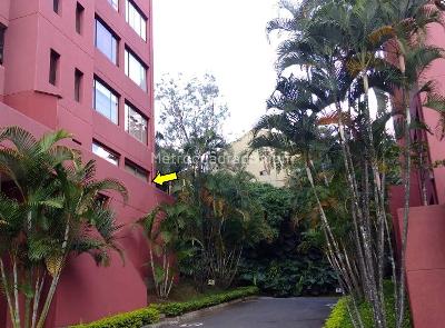 Apartamento de 1 alcoba en arriendo en La Concha, Medellín, 150 m² · foto 11 de 12
