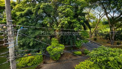 Casa de 4 alcobas en venta en Bosques De Morelia, Palmira, 207 m² · foto 7 de 20