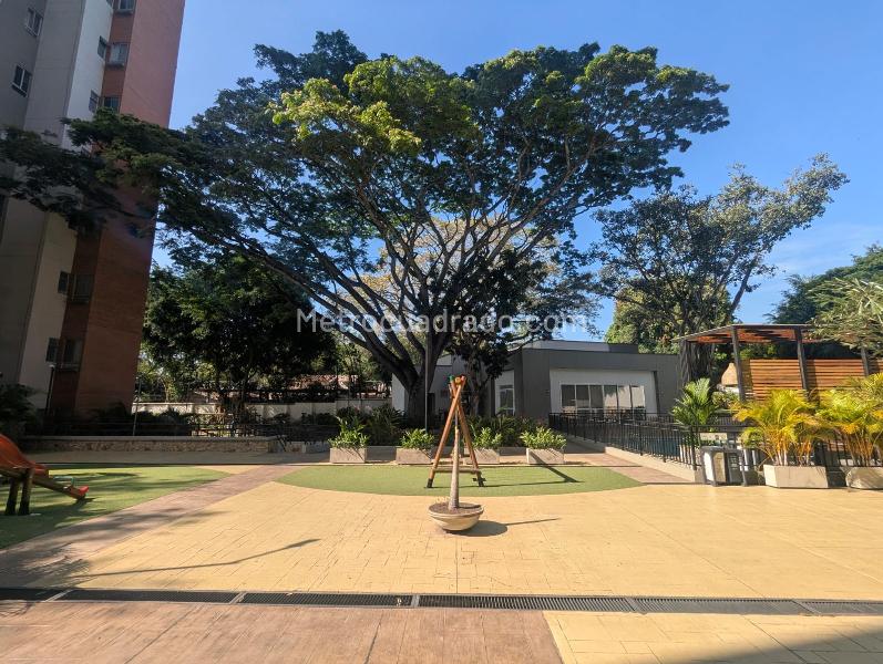 Piso – Cali - Vista 3