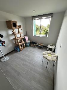 Apartamento en venta en Villa Luz, Bogotá · foto 12 de 20
