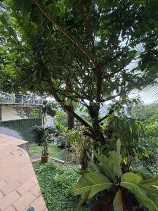 Casa de 4 alcobas en venta en Bella Suiza, Cali · foto 3 de 20