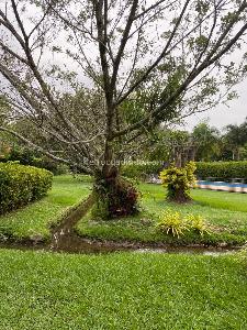 Casa de 4 alcobas en venta en Pance, Cali, 280 m² · foto 12 de 15