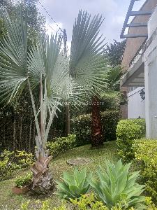 Casa en venta en San Lucas, Envigado · foto 4 de 20