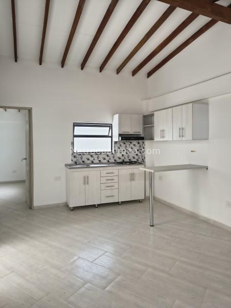 1BR Apartment in Belen (45 m²)