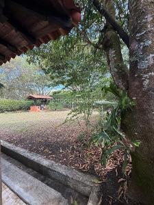 Casa de 4 alcobas en venta en Pance, Cali, 323 m² · foto 5 de 20