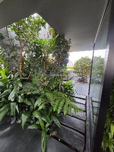 Apartamento de 2 alcobas en venta en Loma De Los Parra, Medellín, 249 m² · foto 5 de 15