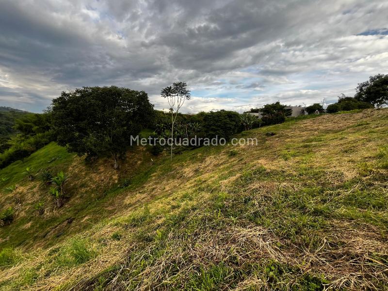Lote en Venta, CERRITOS, Pereira - Más